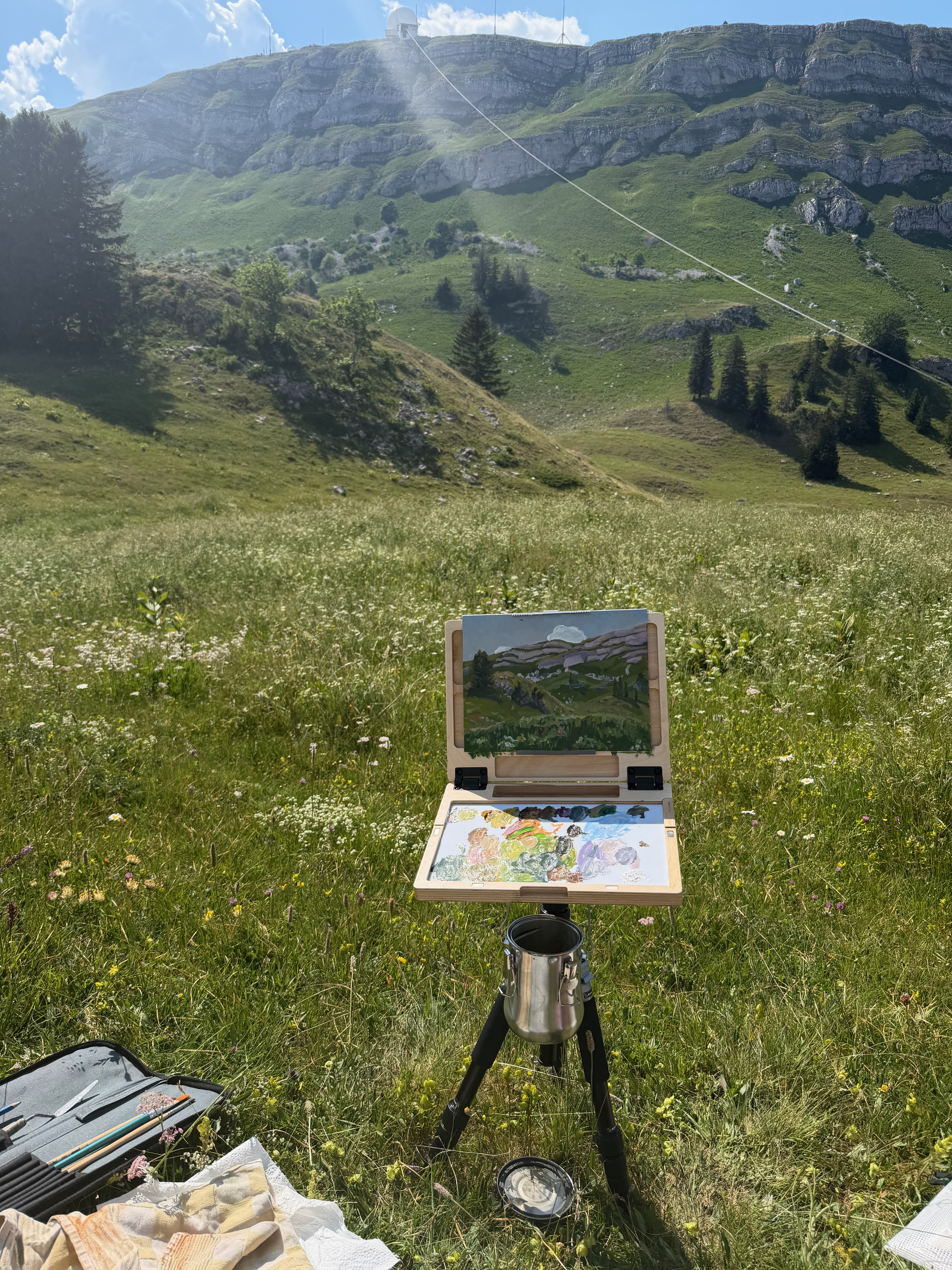 Charlotte's easel set up in plein air in a mountain meadow, with the in-progress painting and palette visible.
