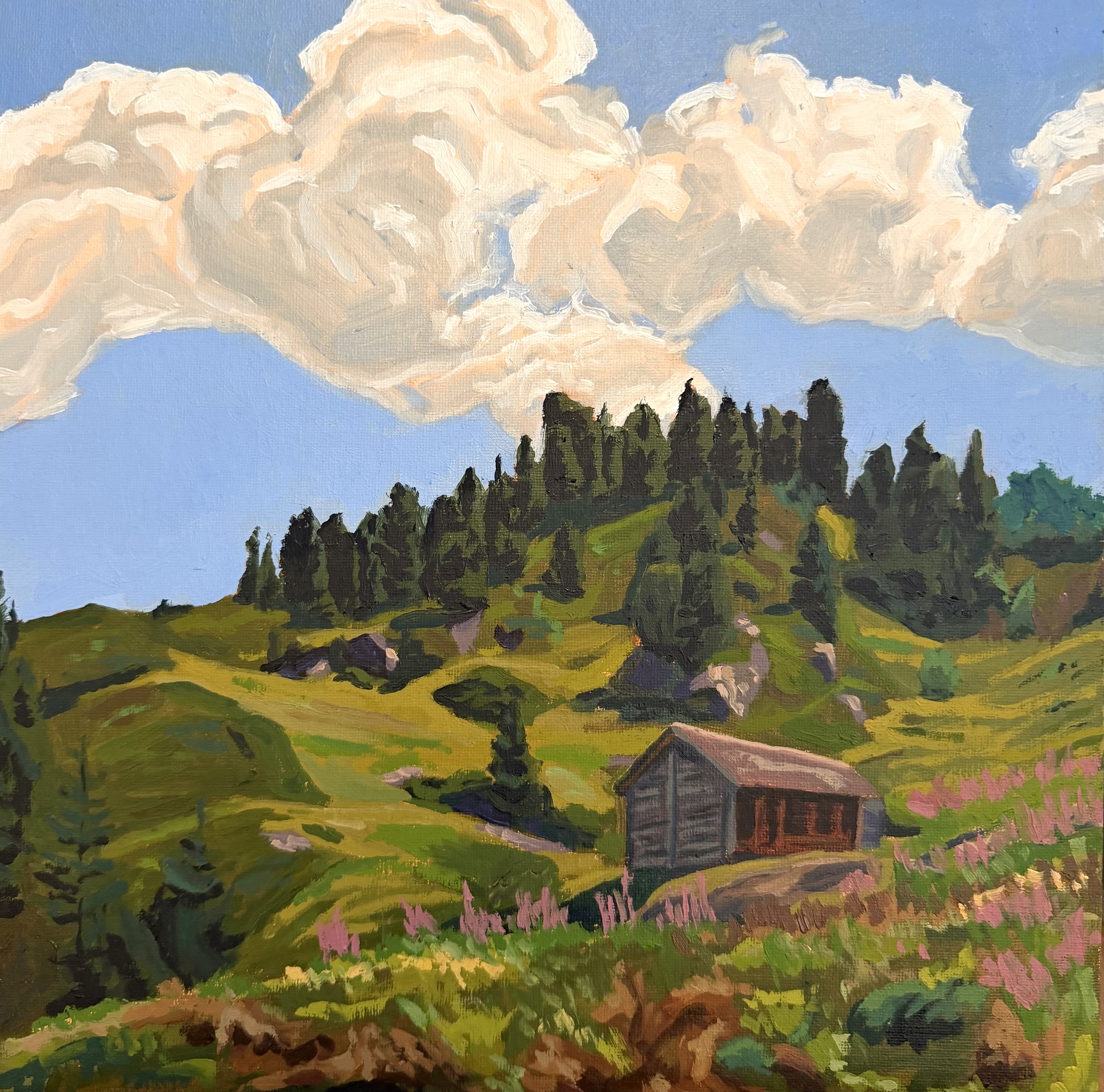 Cabane Brunet 2